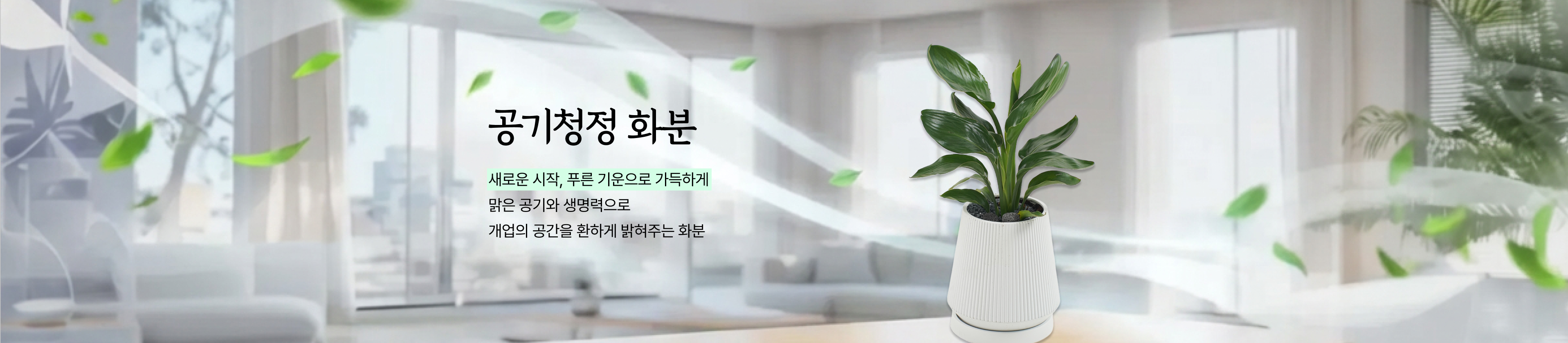 공기청정화분