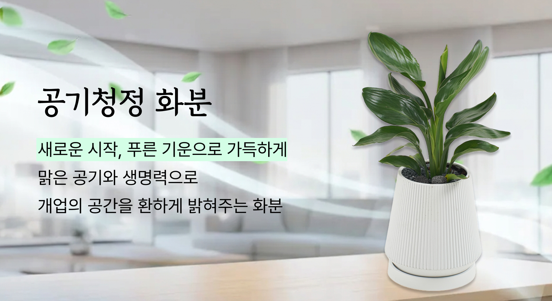 공기청정화분