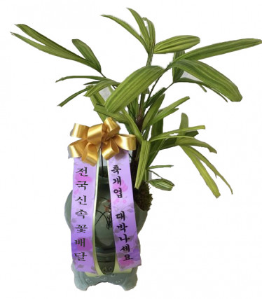 서황금