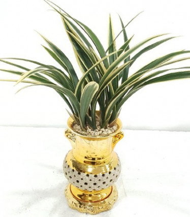 일향금(금투각분)